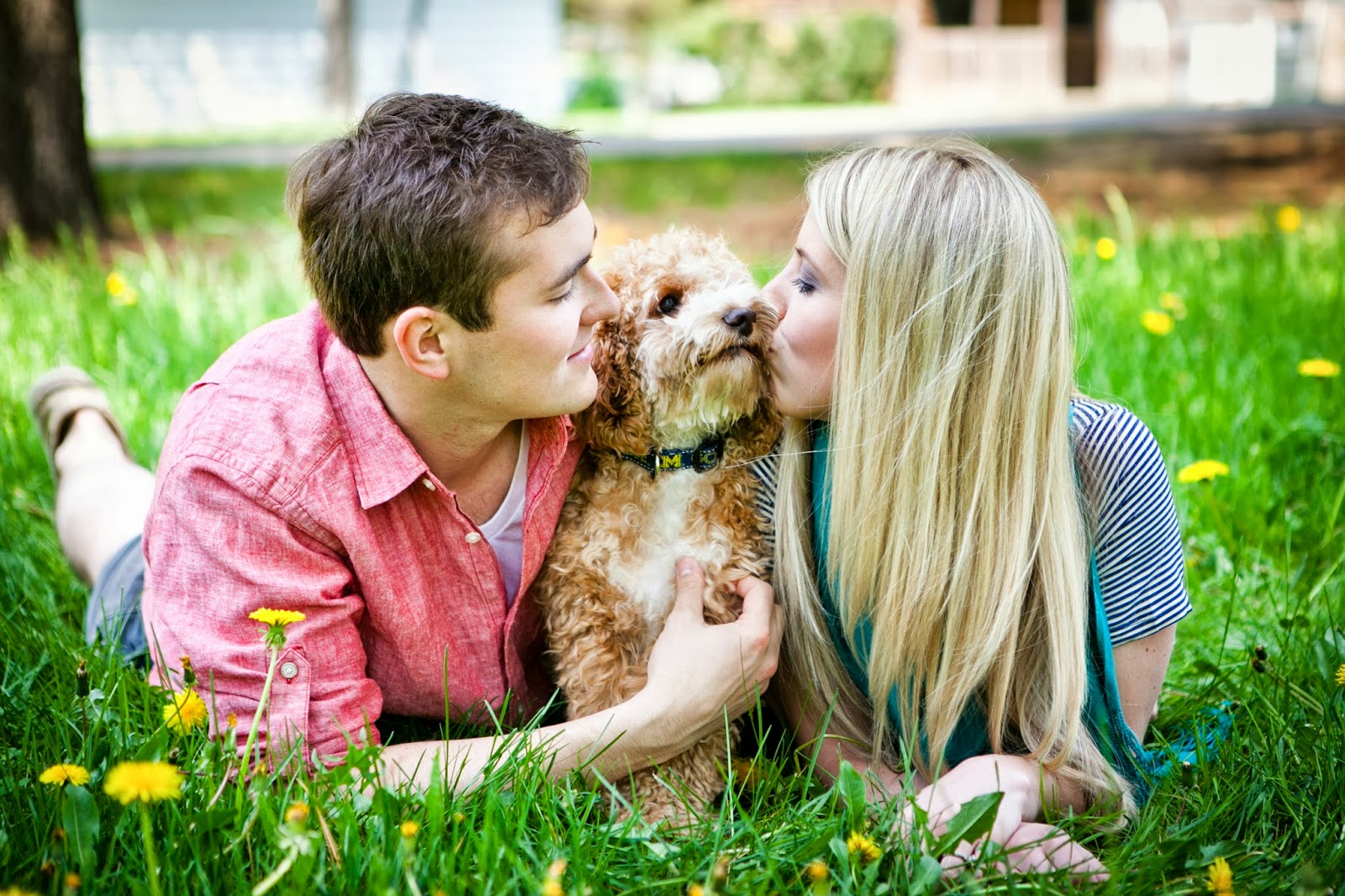 How to Incorporate Your Dog into Your Engagement Session