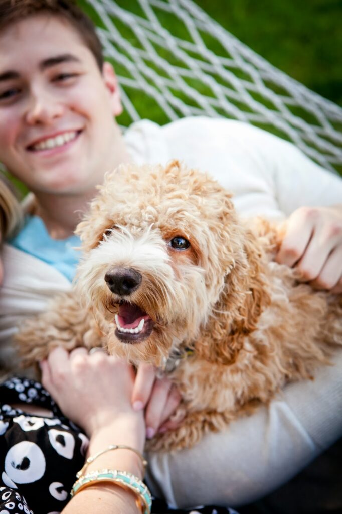 How to Incorporate Your Dog into Your Engagement Session